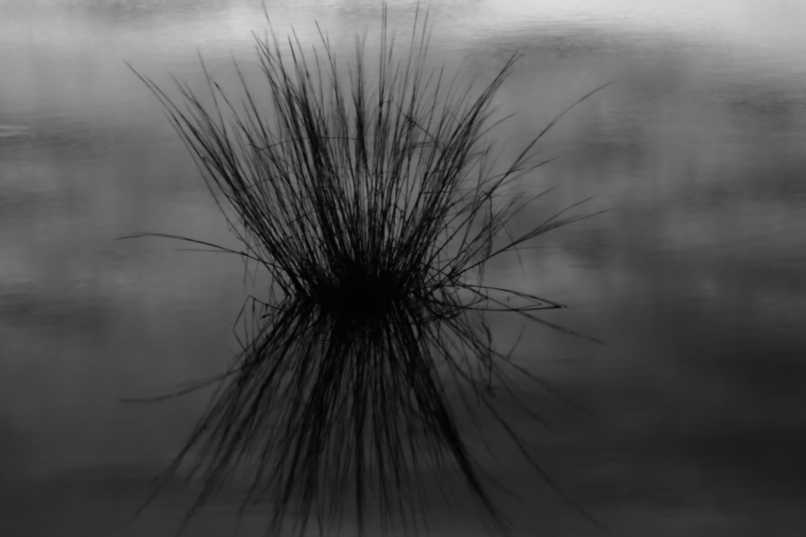 2011 11 25 2292ebw